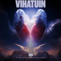 Vihatuin (Single)