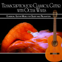 Transcription for Classical Guitar with Ocean Waves: Classical Guitar Music for Sleep and Relaxation (Guitar Transcription) (Single)