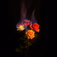 Slow Cocktail (slowed & reverb) (EP)