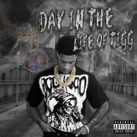 Day in The Life of Tigg (Single)