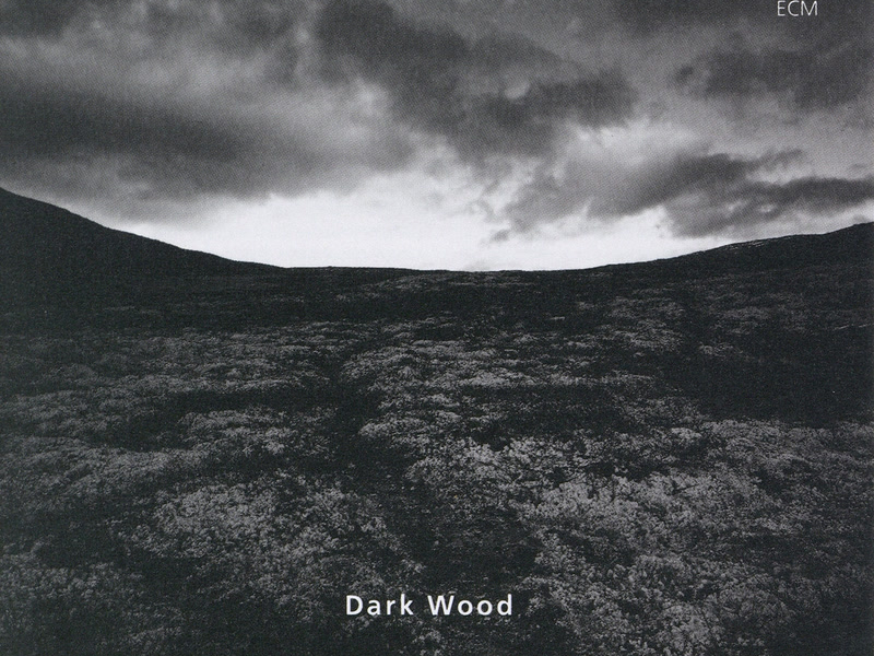 Dark Wood