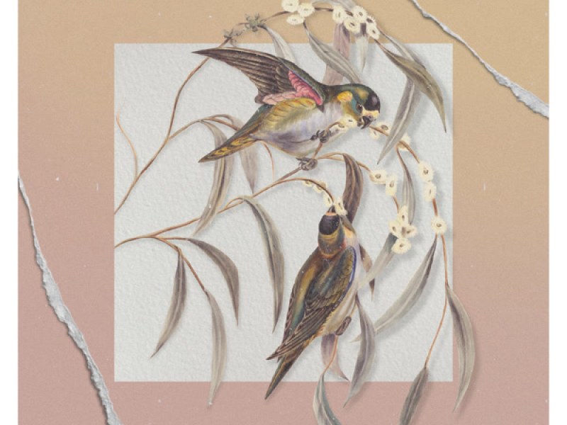 thinking about you (Single)