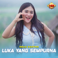 Luka Yang Sempurna (Single)