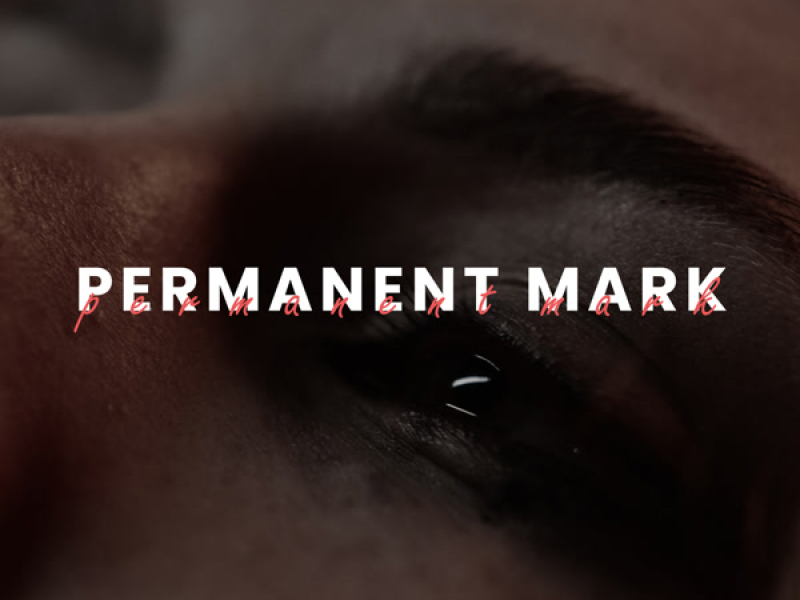 permanent mark - sad version (Single)