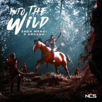Into The Wild (Single)