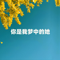 你是我梦中的她 (Single)