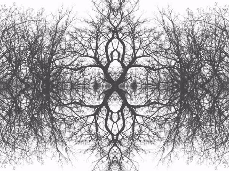 When I Burn Too Soon