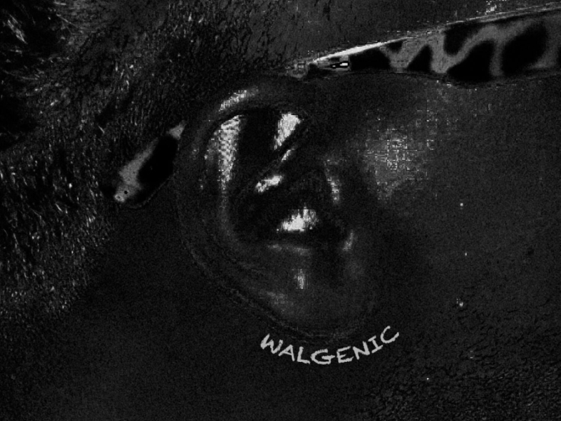 Walgenic (Single)