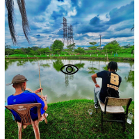 Visualização Real (Single)