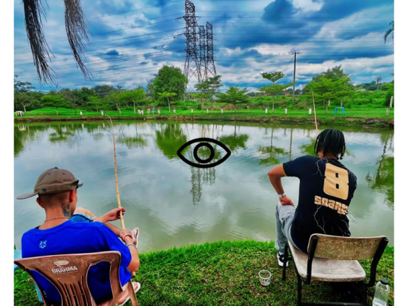 Visualização Real (Single)