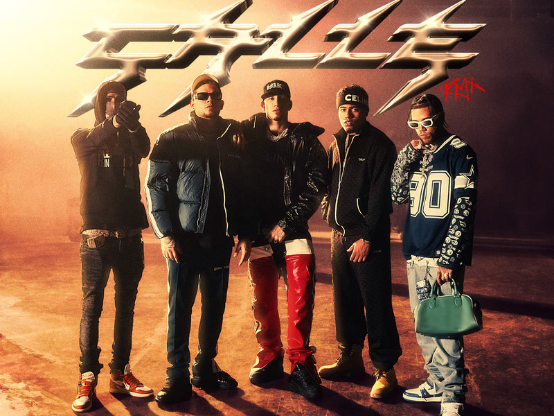 LOS DUEÑOS DE LA CALLE (Remix) (Single)