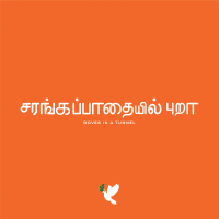 Doves In A Tunnel (Single)