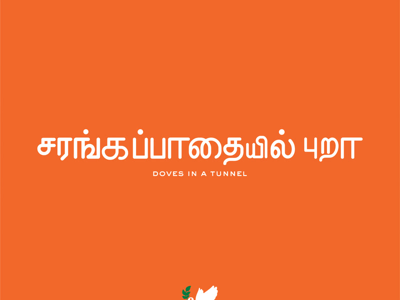 Doves In A Tunnel (Single)