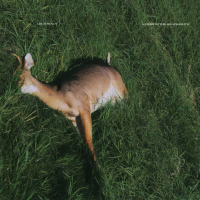 iv. Deer in the Headlights (Single)