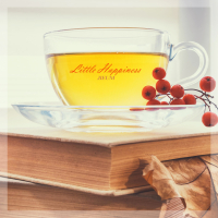 Little Happiness (Single)