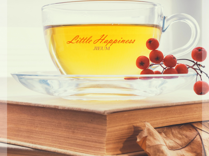 Little Happiness (Single)