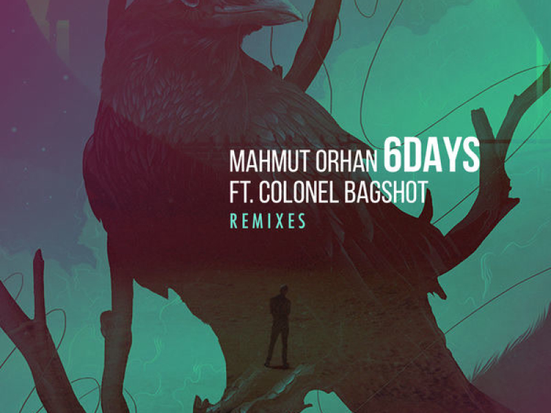 6 Days (Remixes)