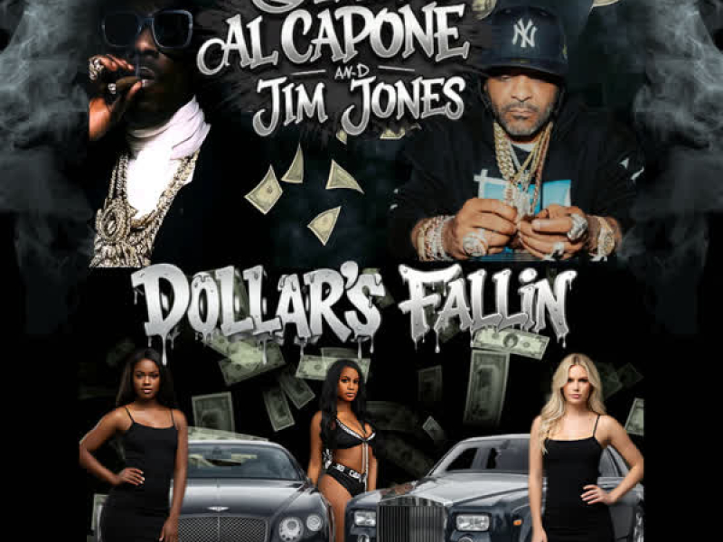 DOLLAR'S FALLIN (feat. JIM JONES) (Single)