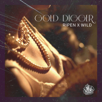 Gold Digger (Single)