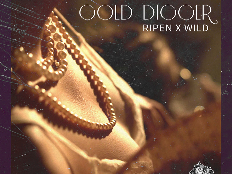 Gold Digger (Single)