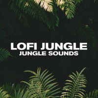 jungle sounds (Single)