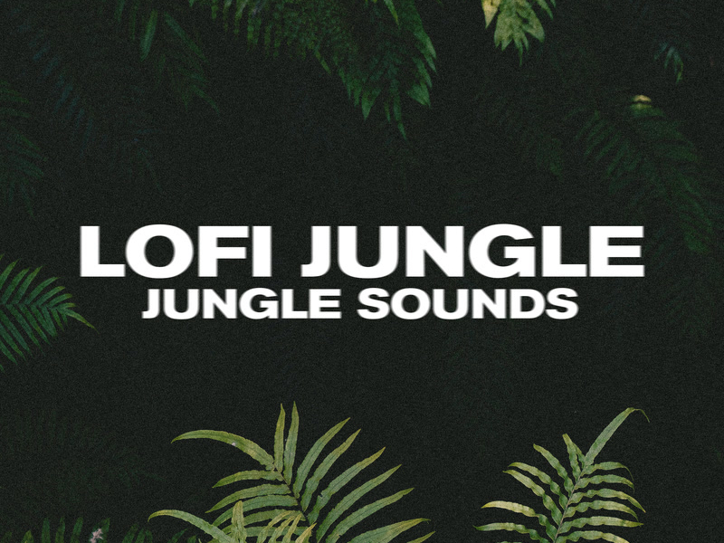 jungle sounds (Single)