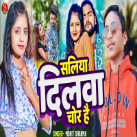 Saliya Dilwa Chor Hai (Single)
