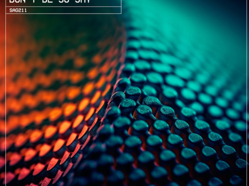 Don't Be So Shy (Single)