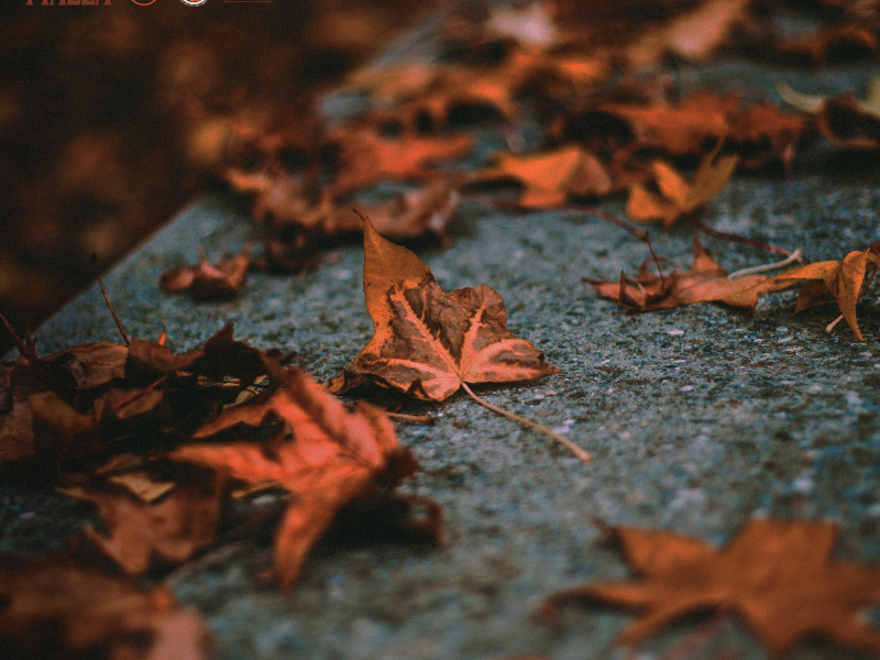 Lo Sai Che C'è? (Single)