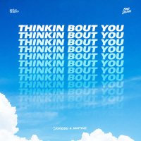 Thinkin Bout You (Single)