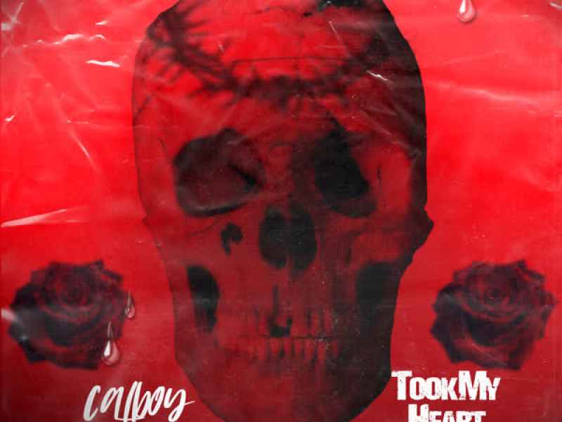 Took My Heart (Single)