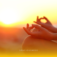 Spaciousness (Single)