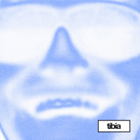 Molly in Mexico (Mr. Tophat Remix) (EP)