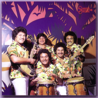 The Five Stars Collection, Vol. 1