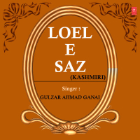 Loel E Saz