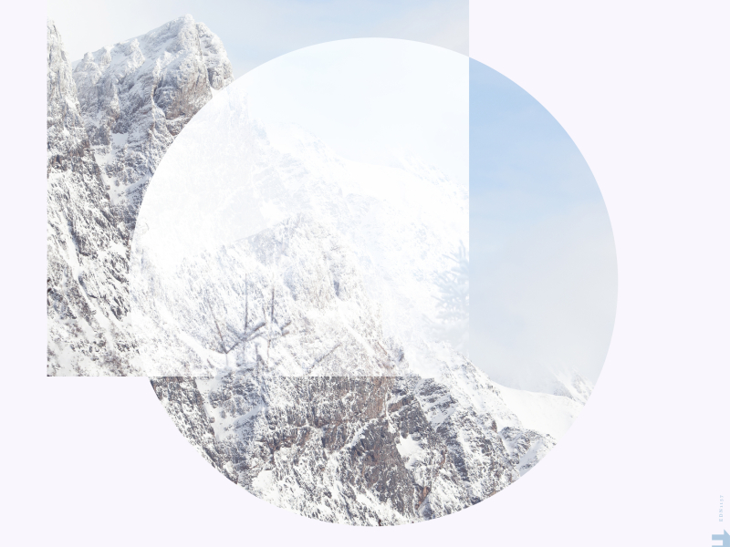 The Hunting Golden Eagle (Single)