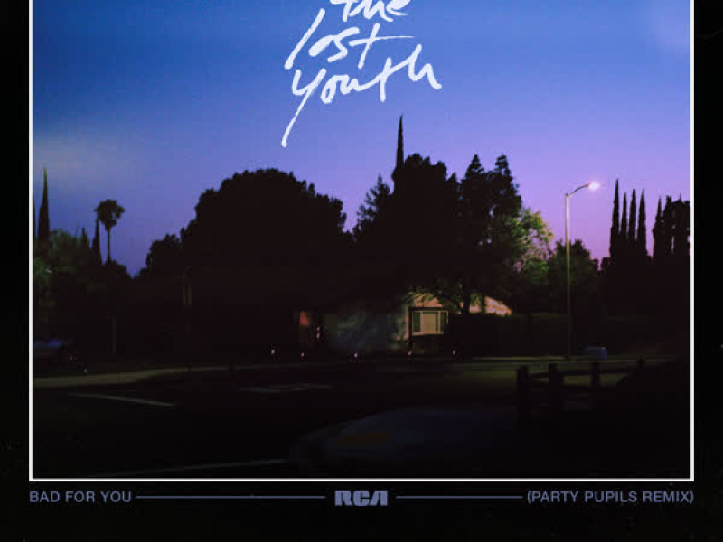 Bad For You (Party Pupils Remix) (Single)