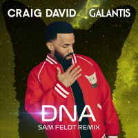 DNA (Sam Feldt Remix) (Single)