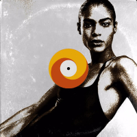 Solid Jacket (Single)