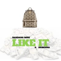 Like It (feat. Shawnna)