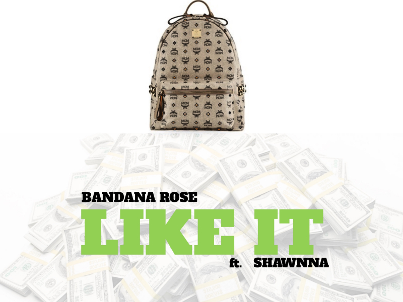 Like It (feat. Shawnna)