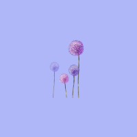 Dandelions (Single)