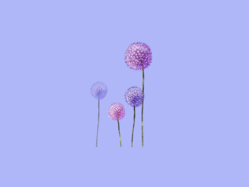 Dandelions (Single)