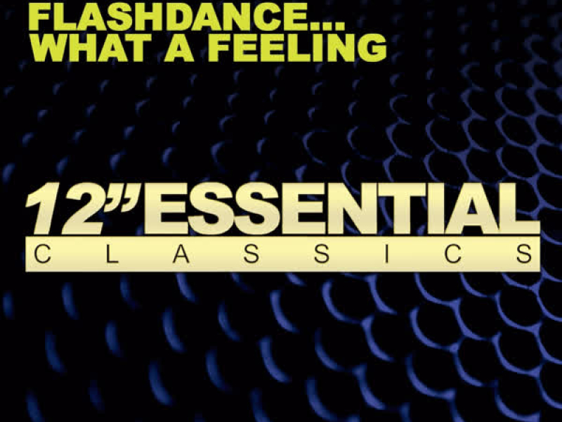 Flashdance… What A Feeling (Single)