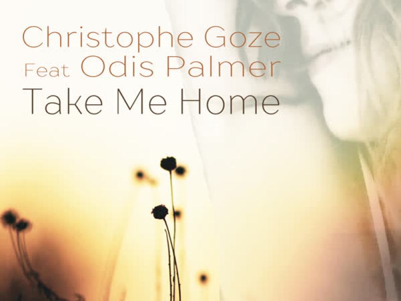 Take Me Home (Single)