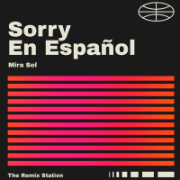 Sorry en Español (Single)