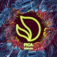 Pica (Laidback Luke Remix) (Single)