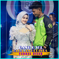 Tebbes Niser (Single)