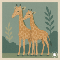 girafas sujas (Single)