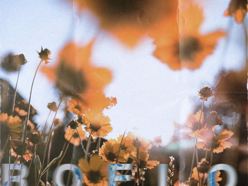 Peaceful Paradise (Single)